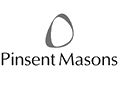 Logo PIN