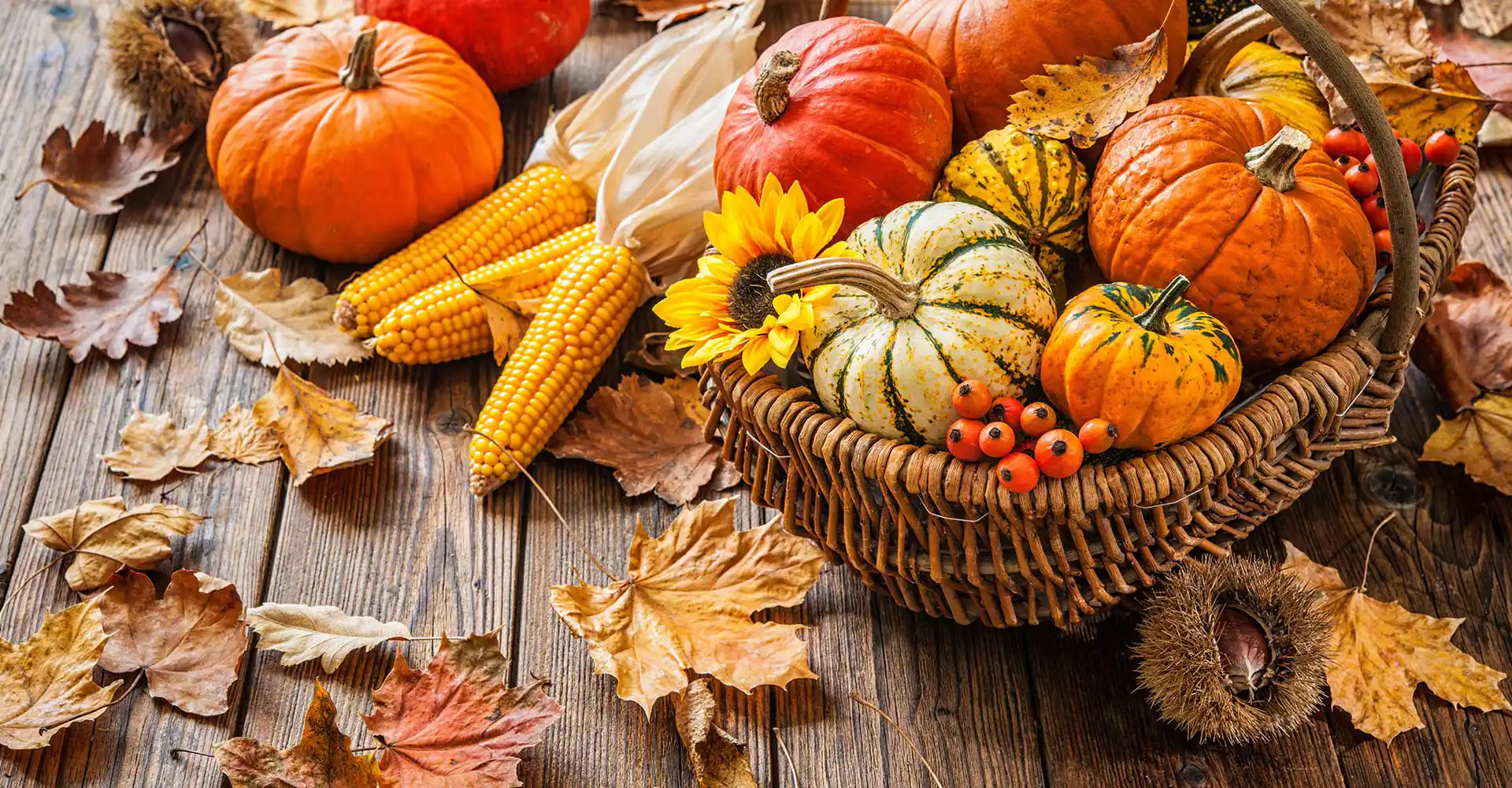 Kürbisse, Maiskolben und Herbstlaub auf einem Holztisch.