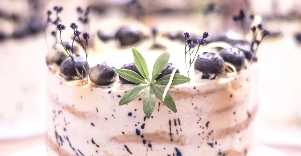 Seminaked Torte mit Blaubeeren