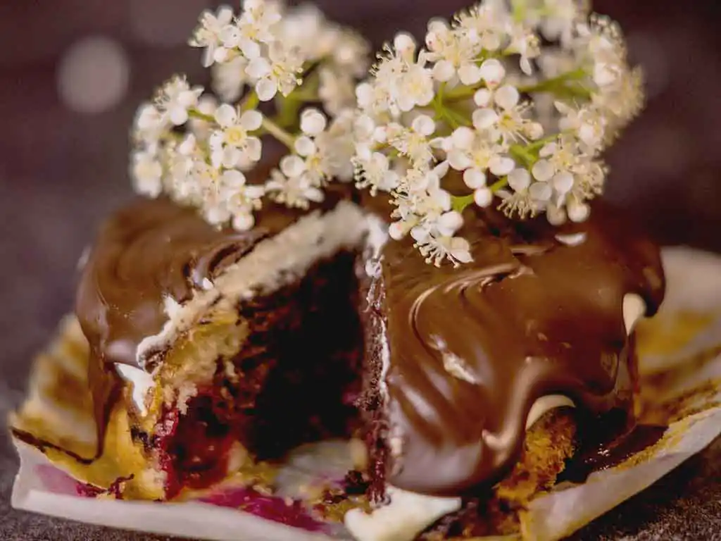 Teller mit angeschnittenem Schokokuchen und Deko aus Holunderblüten.